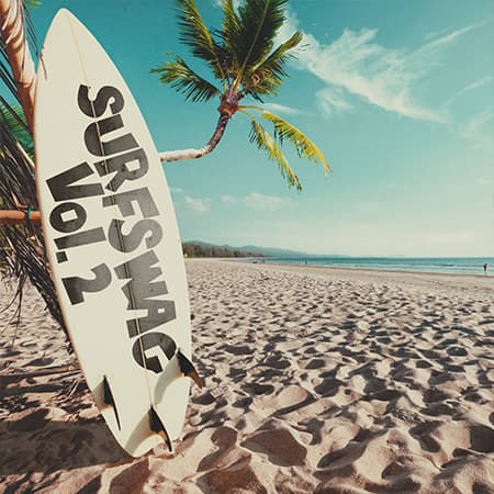 Mingo - SURFSWAG Vol. 2 (Multi Kit) cover art