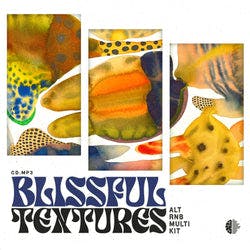 CD.mp3 - Blissful Textures (Multi Kit)